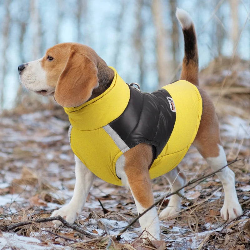 Winter Dog Jacket