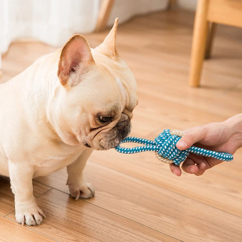 Interactive Cotton Rope Mini Dog Toys Ball