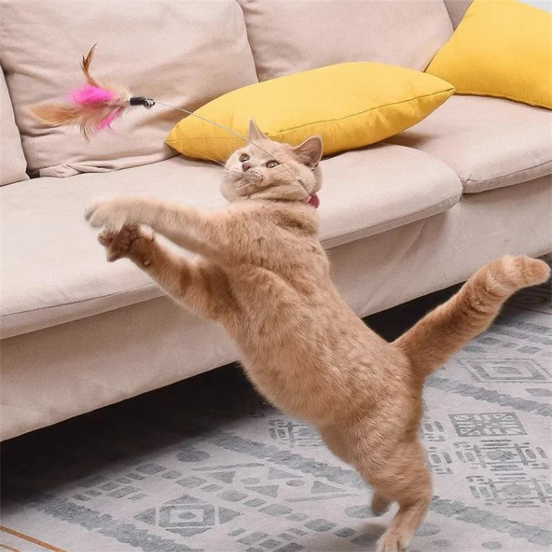 Interactive Cat Toys Funny Feather