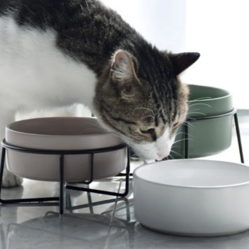 Cat  Bowls with Stand Ceramic