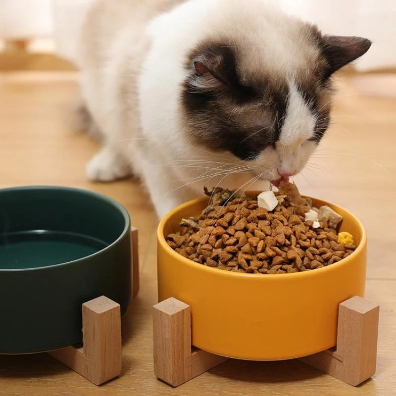 Ceramic Pet Bowl with wood stand