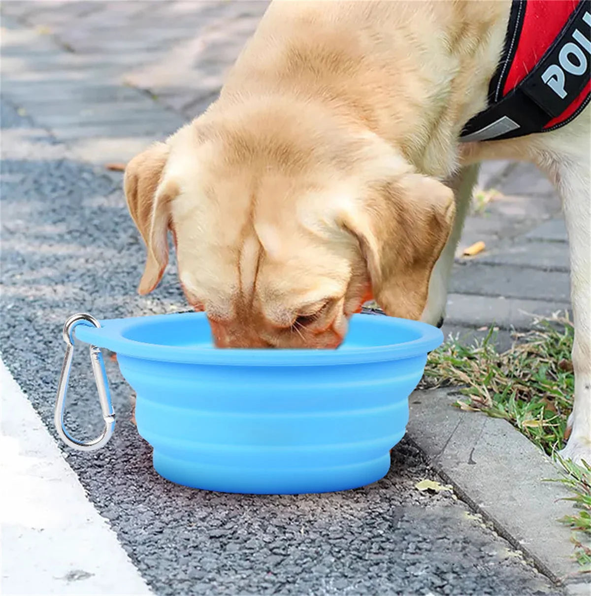 Collapsible Silicone Dog Bowl - Portable Travel Feeder