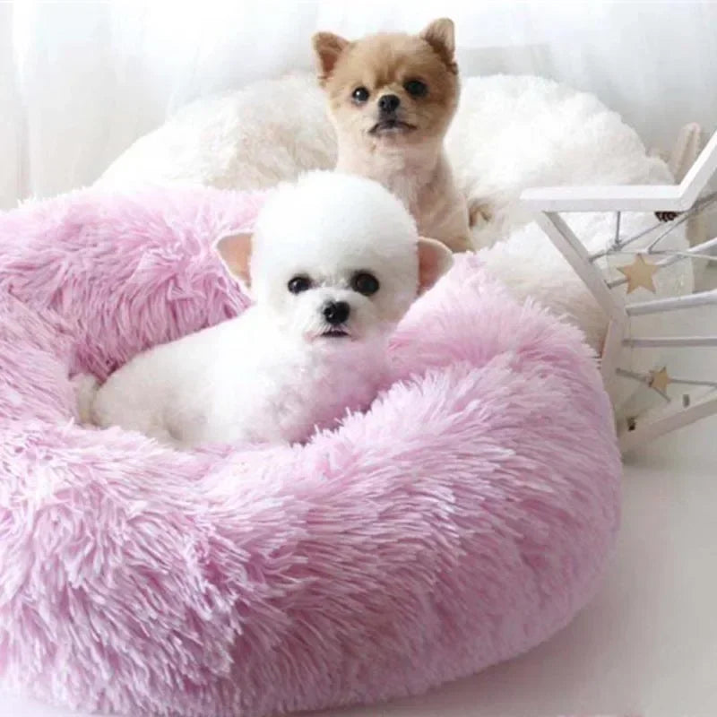 Pet Kennel Bed