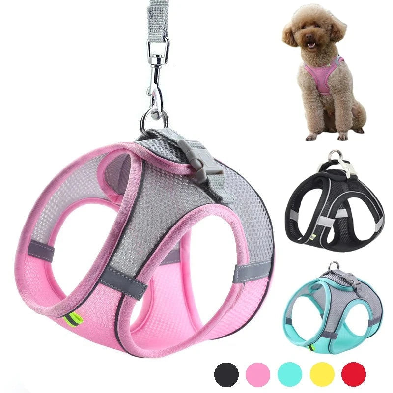 Adjustable Dog Harness and Leash Set for Small Dogs